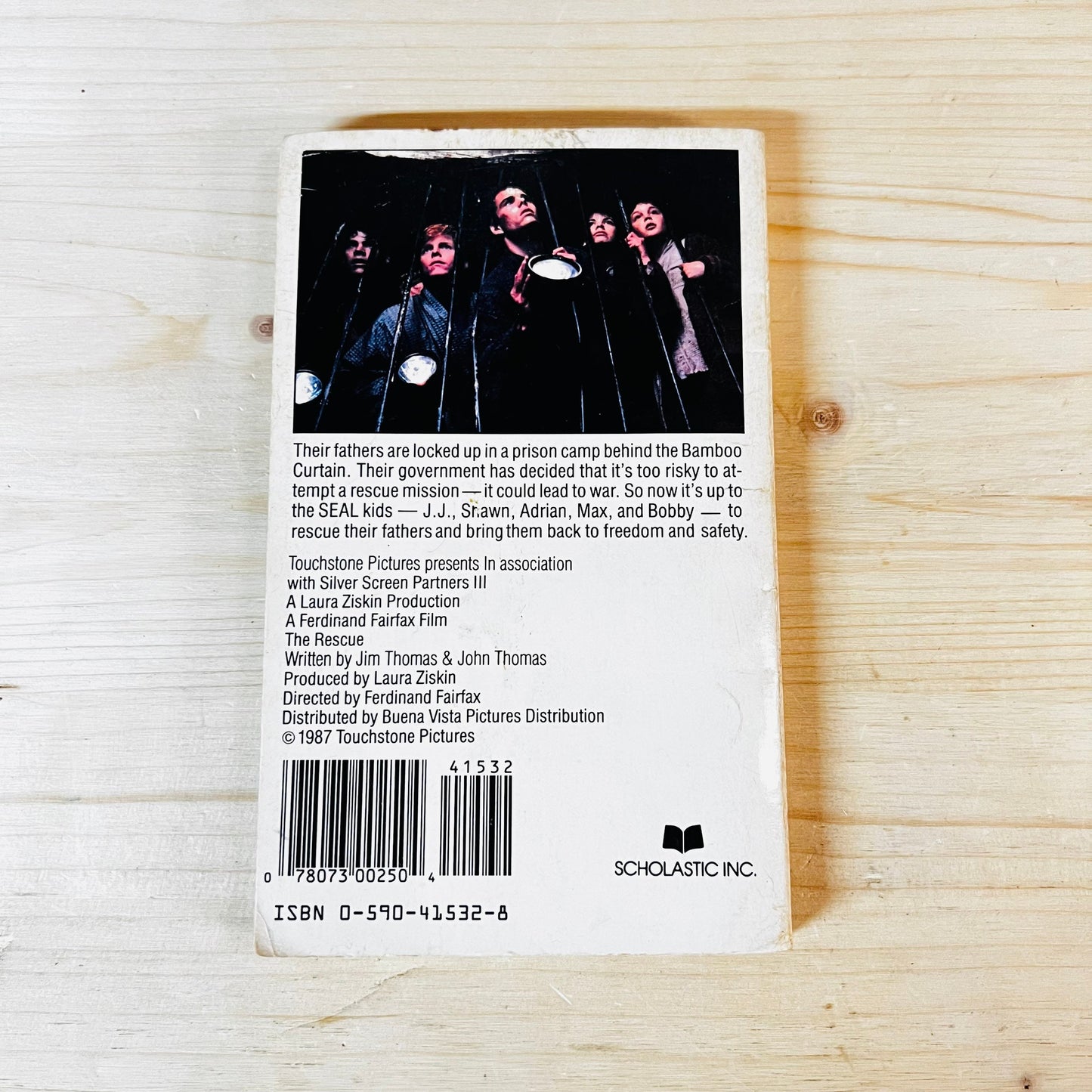 The Rescue Paperback Book