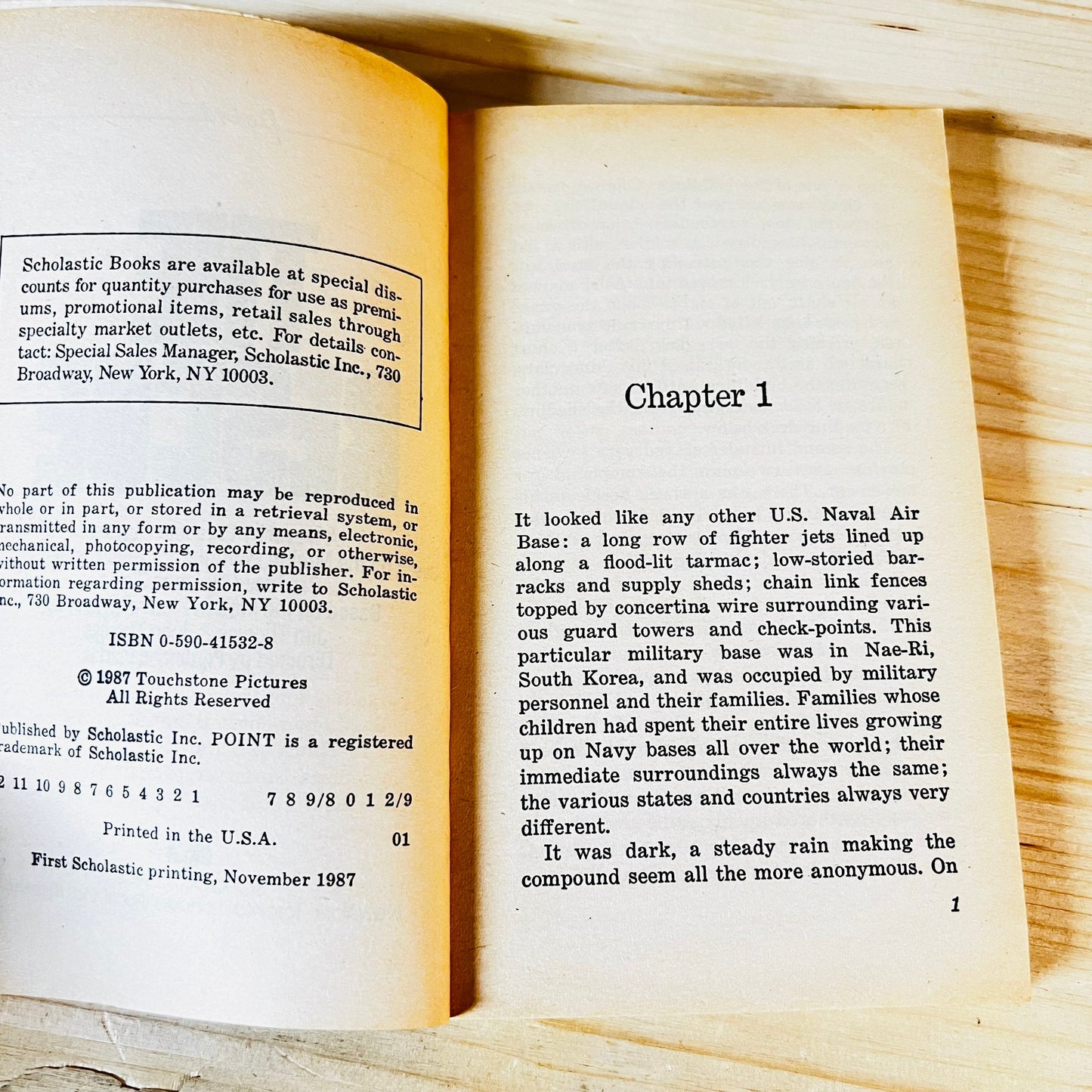 The Rescue Paperback Book