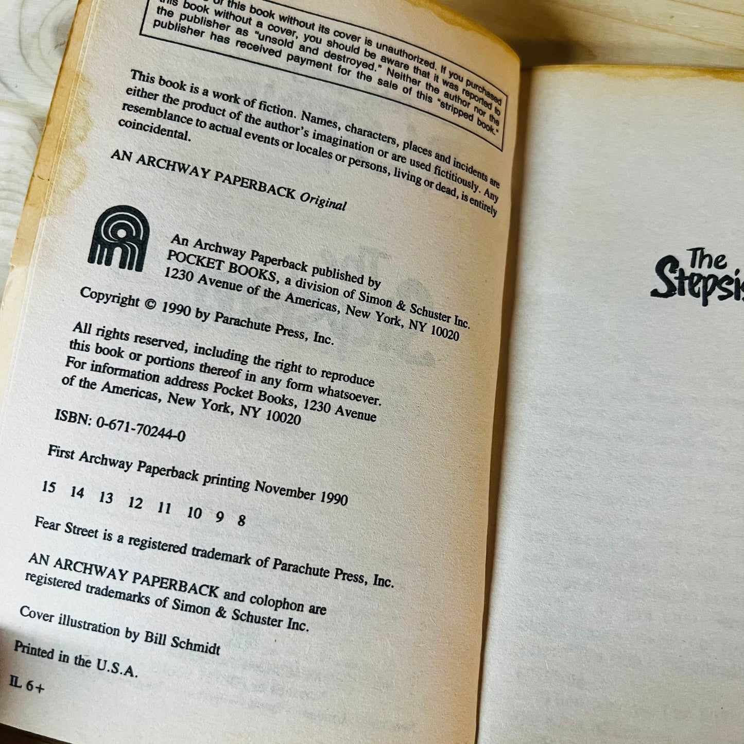 The Stepsister by RL Stine Paperback Book