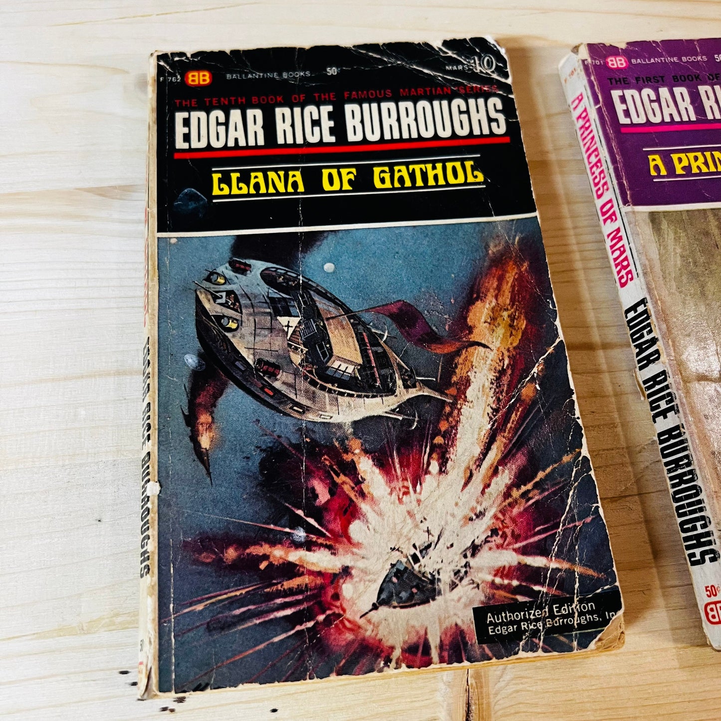 Edgar Rice Burroughs Paperback Books Lot of Two